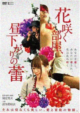 新作上架日历 十一月批次 剧场版上映窗口图示
